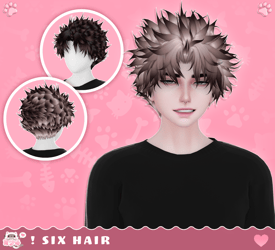 Six Hair・Commercial License