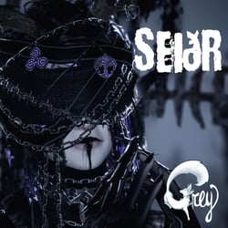 Seiðr - the Viking Wandcarrier