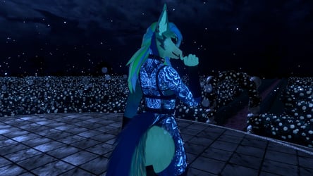Aqua Rose Aurora