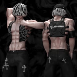 Strippa Vest