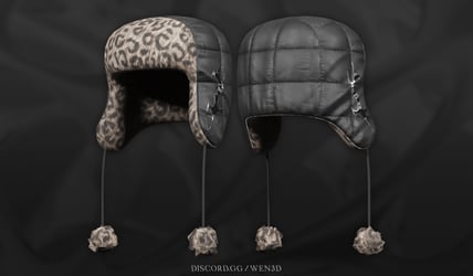 111-Ski-Hat ; Paid