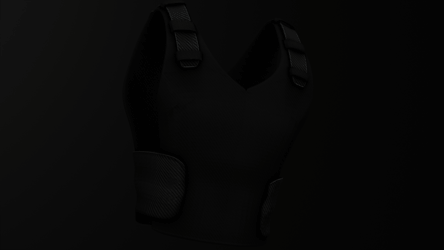 Balistic Vest 