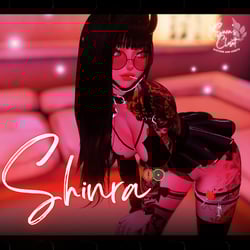 S H I N R A (PC + Face Tracking)
