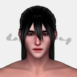 ZANE PONYTAIL