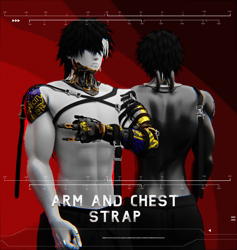 Chest and Arm Strap | Free in Discord