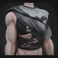 ROLLED UP SHIRT (Personal and Commercial)