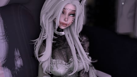BELA (PC + QUEST)