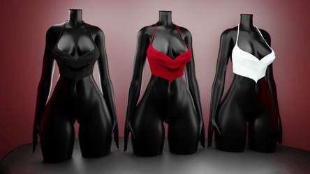 Basic Corset/ZinFit