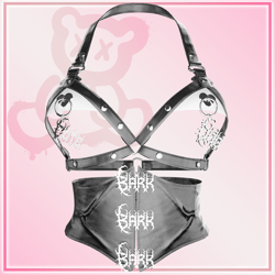 Dogwear Set