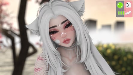 Liz Face Tracking Add On