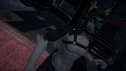 -!Wolf Link Dante!-