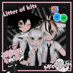 ‎𐙚Litter of kits꩜ .ᐟ