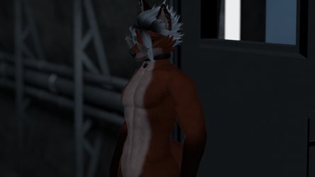 Red Fox - FoxiPaw's Dante Texture