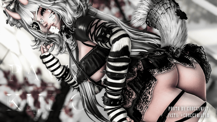PAWZ | 3.0 VCC MODEL (SPS\GOGO) | + QUEST