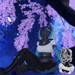 Galaxy / Space Meeko - Foxipaws Retexture