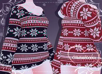 cc's long sleeve sweater