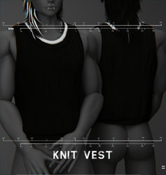 Knit Vest