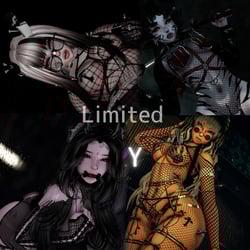 Limited - Access To My Entire Store