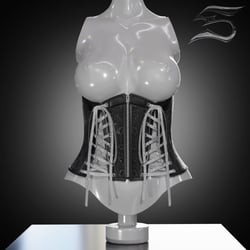 Corset Strips  (personal and commercial)