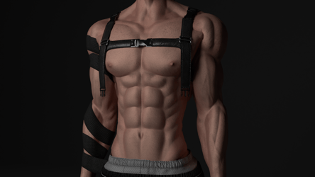 Dual Strapped Harness