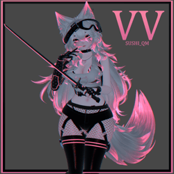 VV (PC+Quest)