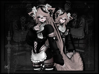 molly the maid   . ۫ ꣑ৎ   .  