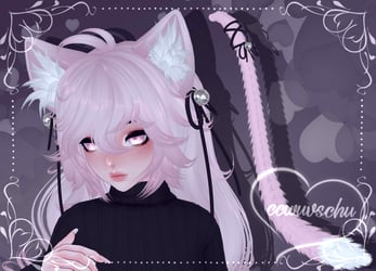 cc's kitty set