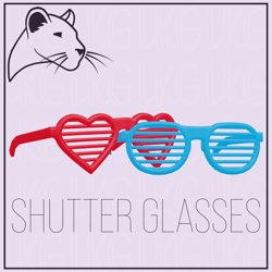 ✸✧✸ Shutter Glasses ✸✧✸