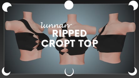 Ripped Cropt Shirt