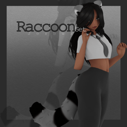 Raccoon Set