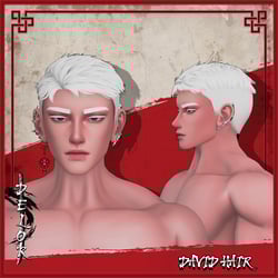 David Hair