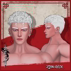 Zion Hair