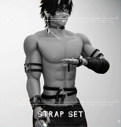 Strap Set