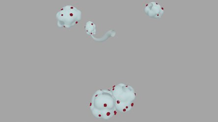 Poodle Floofs and Tail