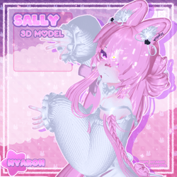  .ᐟ Sally  .ᐟ 3D MODEL 𖹭 ᐢ..ᐢ  .ᐟ 
