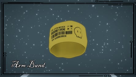 Arm Band