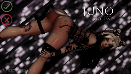 Juno (SPS, PC, GOGO, Opti)