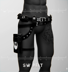SW Belt n Holster