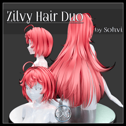 Zilvy Hair Duo