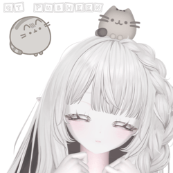qt pusheen .ᐟ ｡𖦹°‧ free in server