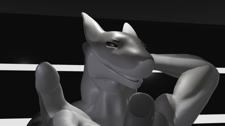 Sharkie Head and Tail Set