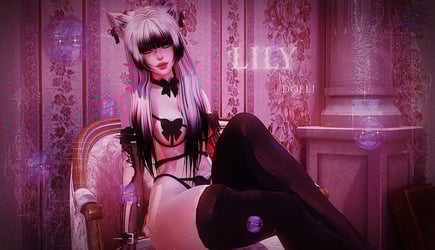 Lily / PC - QUEST 