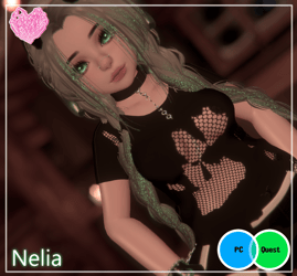 🌷 !Nelia (PC and Quest) 🌷