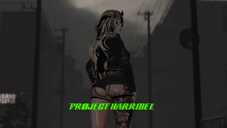 PROJECT: HARRIBEL