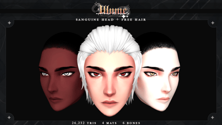 SANGUINE HEAD + UE SHAPEKEYS