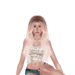 Blossom | PC 