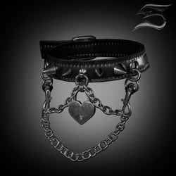 Shocker padlock (personal and commercial)