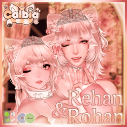 Rehan & Rohan | SPS | PC+Quest | Face tracking