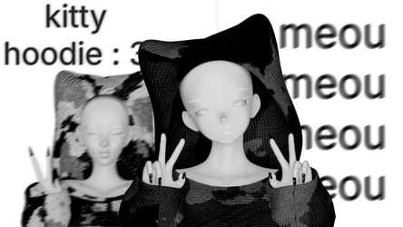 kitty hoodie : 3 (vrbases & slimfit)