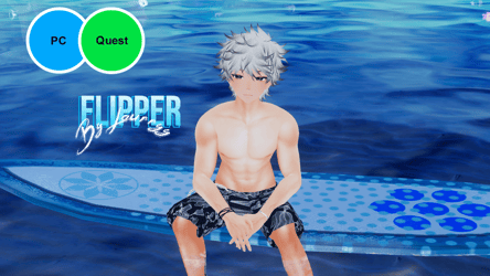 Flipper [PC + QUEST]